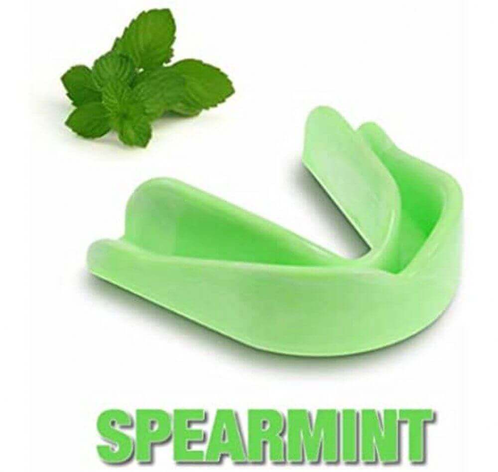 Game Guard Bitje Jr Spearmint
